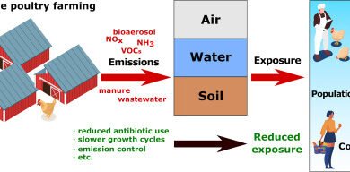 What Management Practices are Common in Dairy And Poultry Farming